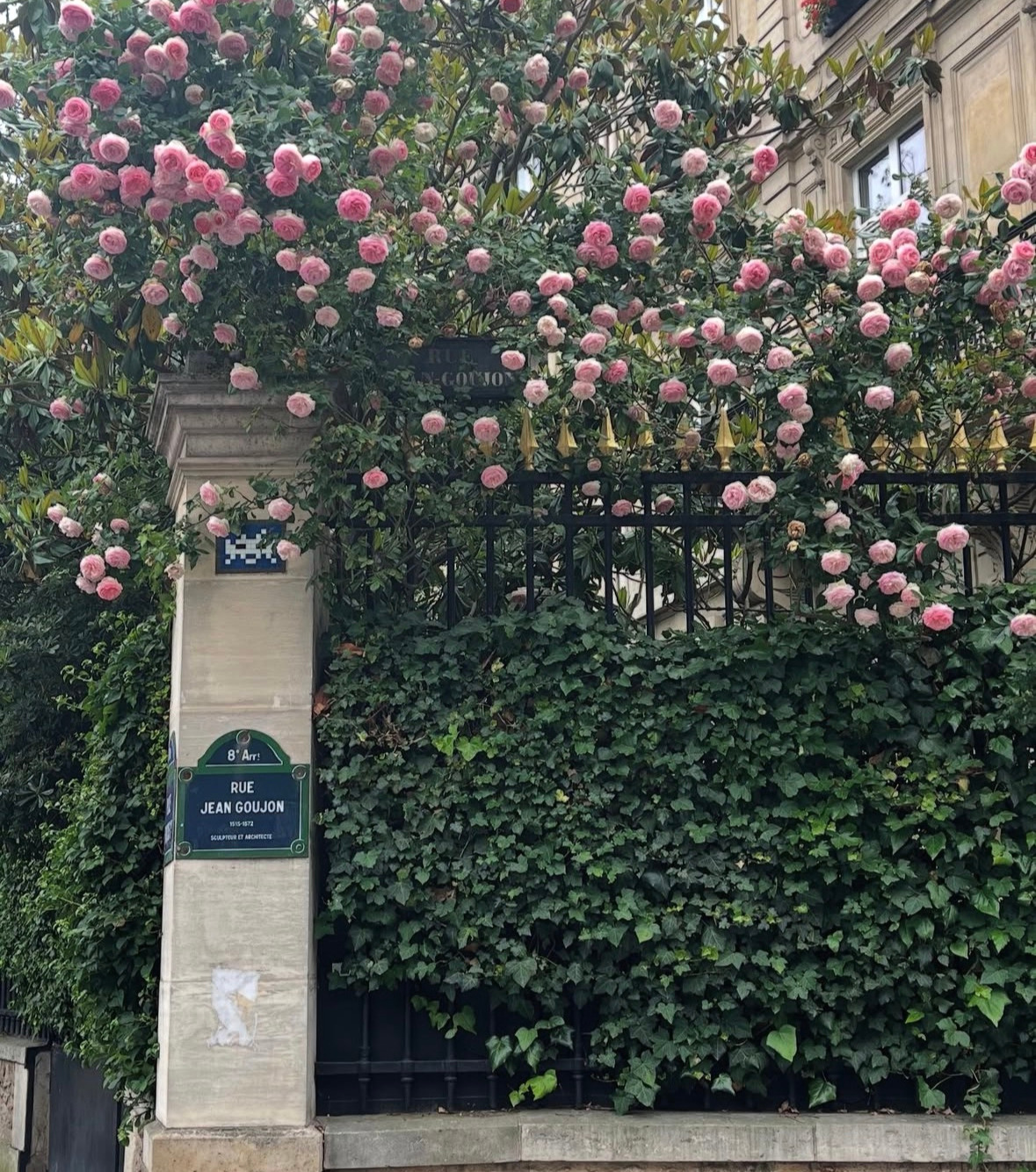 Décoration florale